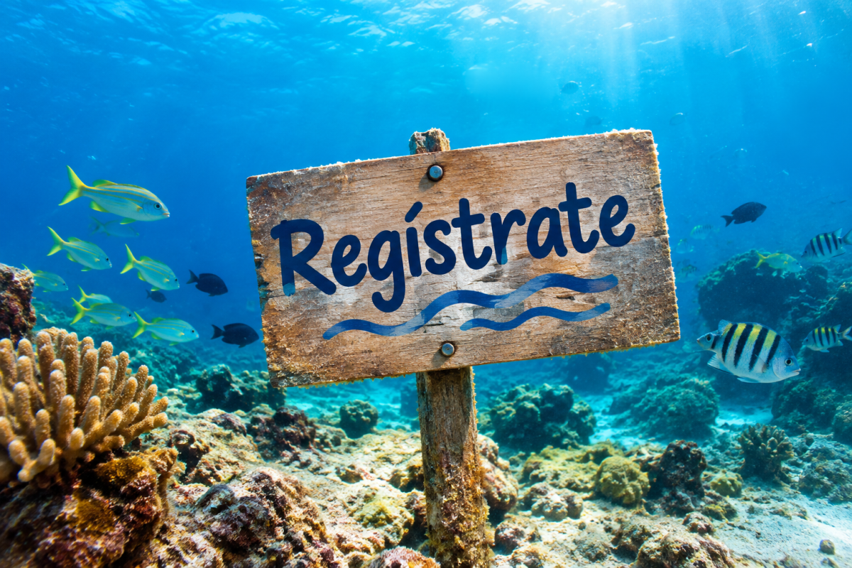 Registro